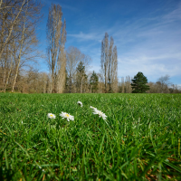 Креатив без названия.png